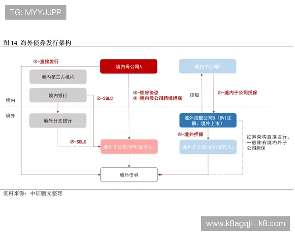 什么是ag真人网登录线路，详细解析其作用与选择技巧让您轻松上手