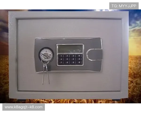 凯发K8注册登录入口安全保障措施解析,保障玩家账号信息安全 凯发K8注册登录入口安全保障措施解析,保障玩家账号信息安全