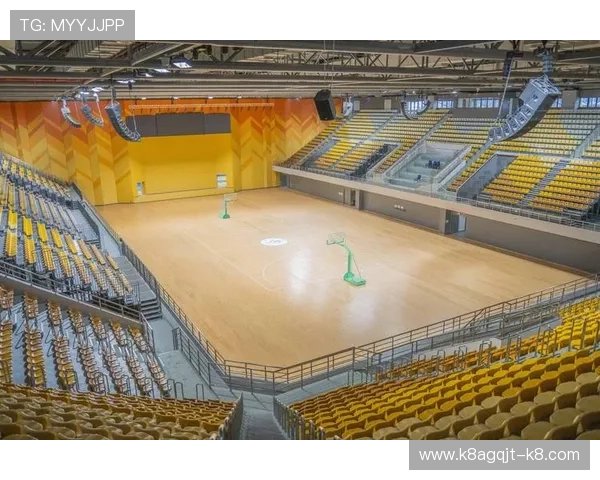 爱体育平台官网的赛事资讯与数据分析功能详解，助力体育迷深入了解比赛背后的精彩内容