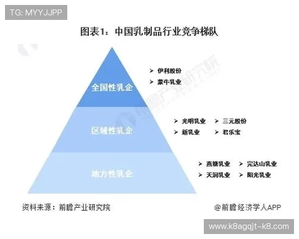 凯发集团行业地位分析：在国内外市场中的竞争优势与发展潜力