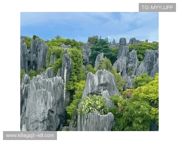 凯发注册游戏公司地址查询官网操作指南,帮助新手快速掌握查询流程与注意事项 凯发注册游戏公司地址查询官网操作指南,帮助新手快速掌握查询流程与注意事项